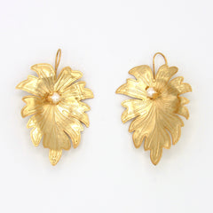 Aretes Gancho Hoja Perla Conexión Dorado