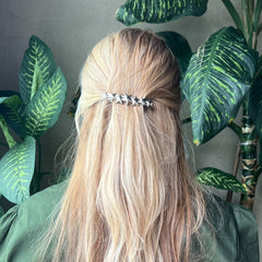 Pinza Estrellas Plateadas