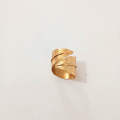 Anillo Argolla Dorado Hoja Silvestre - Bambú Rosa Joyas y Accesorios 